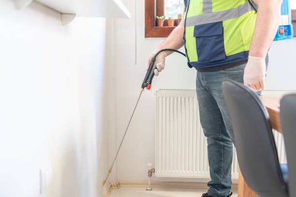 Best Termite Control Services  in Niantic, CT
