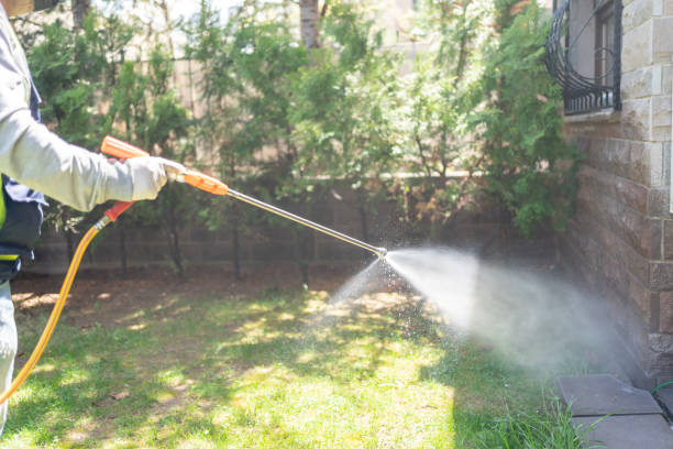 Bird Control in Niantic, CT
